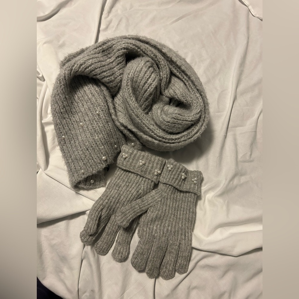 Ann Taylor Scarf and gloves set